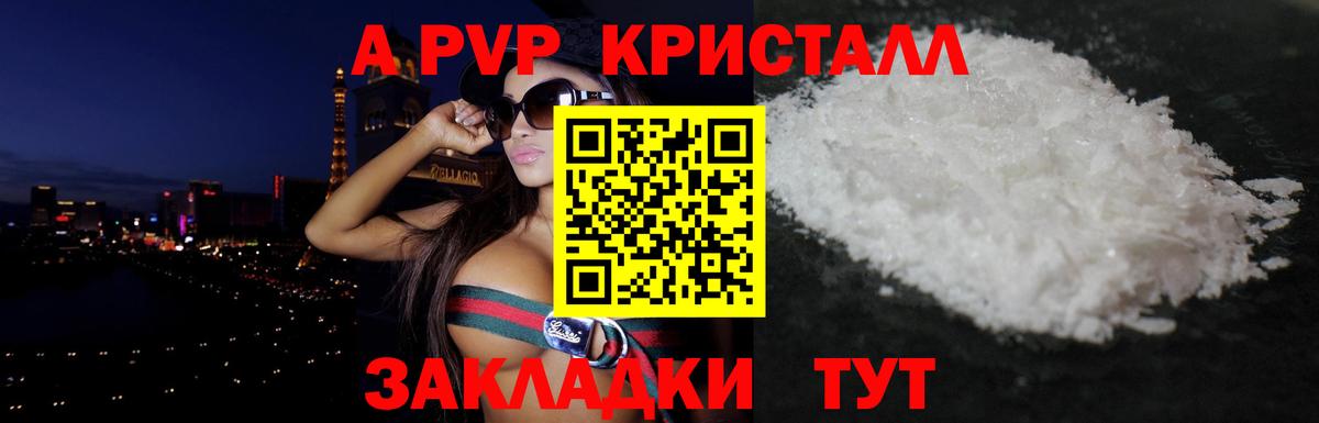 Alfa_PVP СК КРИС Сыктывкар