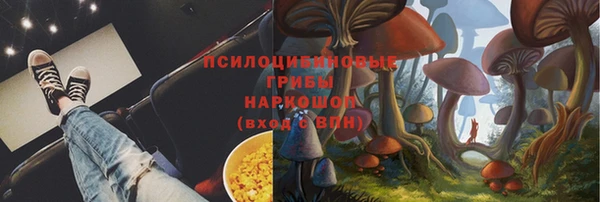 соль ск Нефтегорск