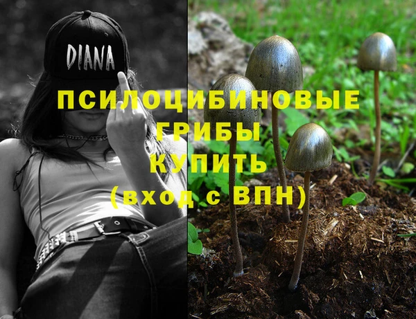 соль ск Нефтегорск