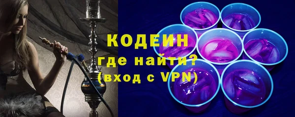 прущие грибы Надым