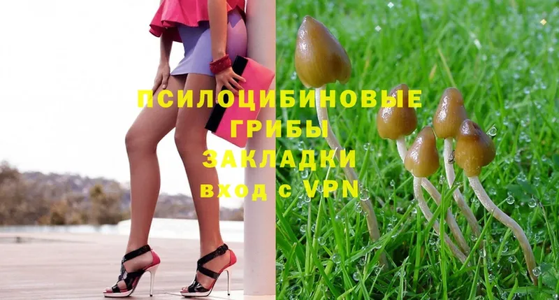 Псилоцибиновые грибы Magic Shrooms  hydra как зайти  Сыктывкар 