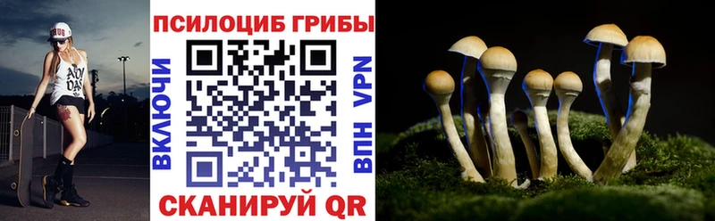 купить   ссылка на мегу ССЫЛКА  Псилоцибиновые грибы мухоморы  Сыктывкар 