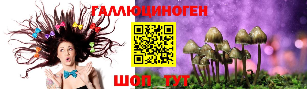 Псилоцибиновые грибы GOLDEN TEACHER  Вход с VPN  цена   Галлюциногенные грибы мицелий  Сыктывкар 
